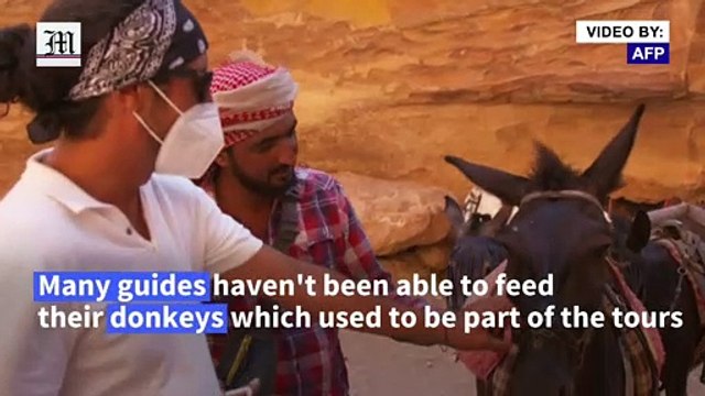 Jordan's donkeys suffer as coronavirus cripples tourism