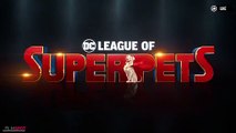 DC LEAGUE OF SUPER PETS Teaser Trailer (NEW 2021) Dwayne Johnson, Animated Superhero Movie HD