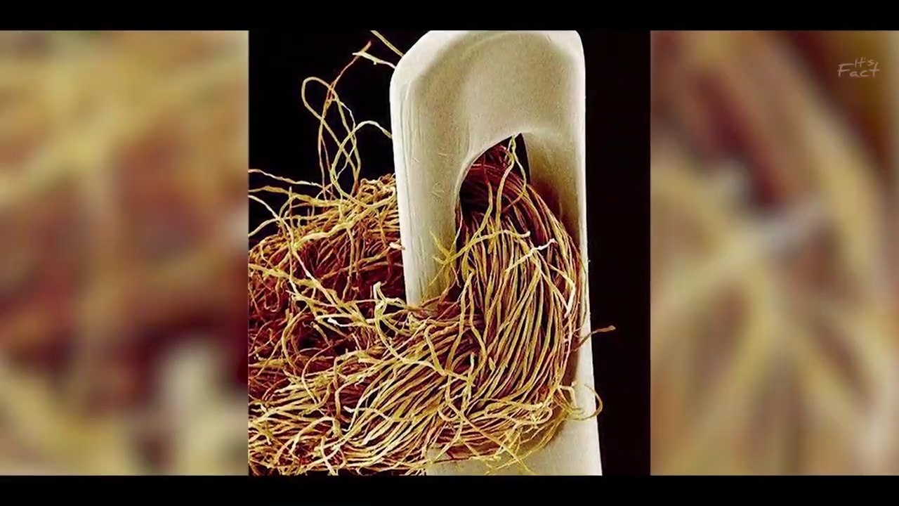 अब फ़ोन का बैटरी निकलता क्यों नहीं_ _ Why Phone Companies Removed Removable Batteries _ FE EP#02