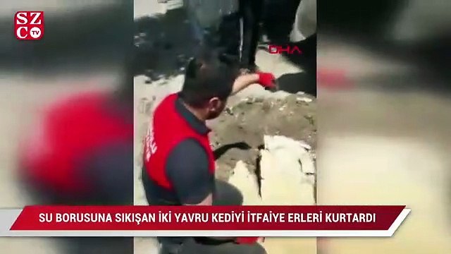 Su borusuna sıkışan 2 yavru kediyi itfaiye ekipleri kurtardı