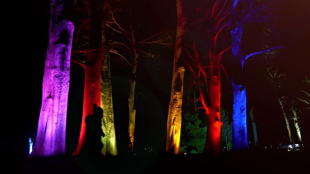 Christmas At Temple Newsam 2021: Lights spectacular to dazzle in Leeds