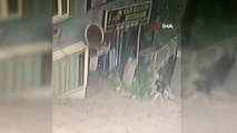 16 yaşındaki kıza pitbulllar saldırdı! Köpeklerin kıza saldırdığı dehşet anları kamerada