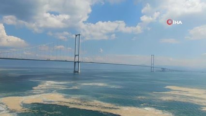 Müsilaj İzmit Körfezi'nde etkisini sürdürüyor