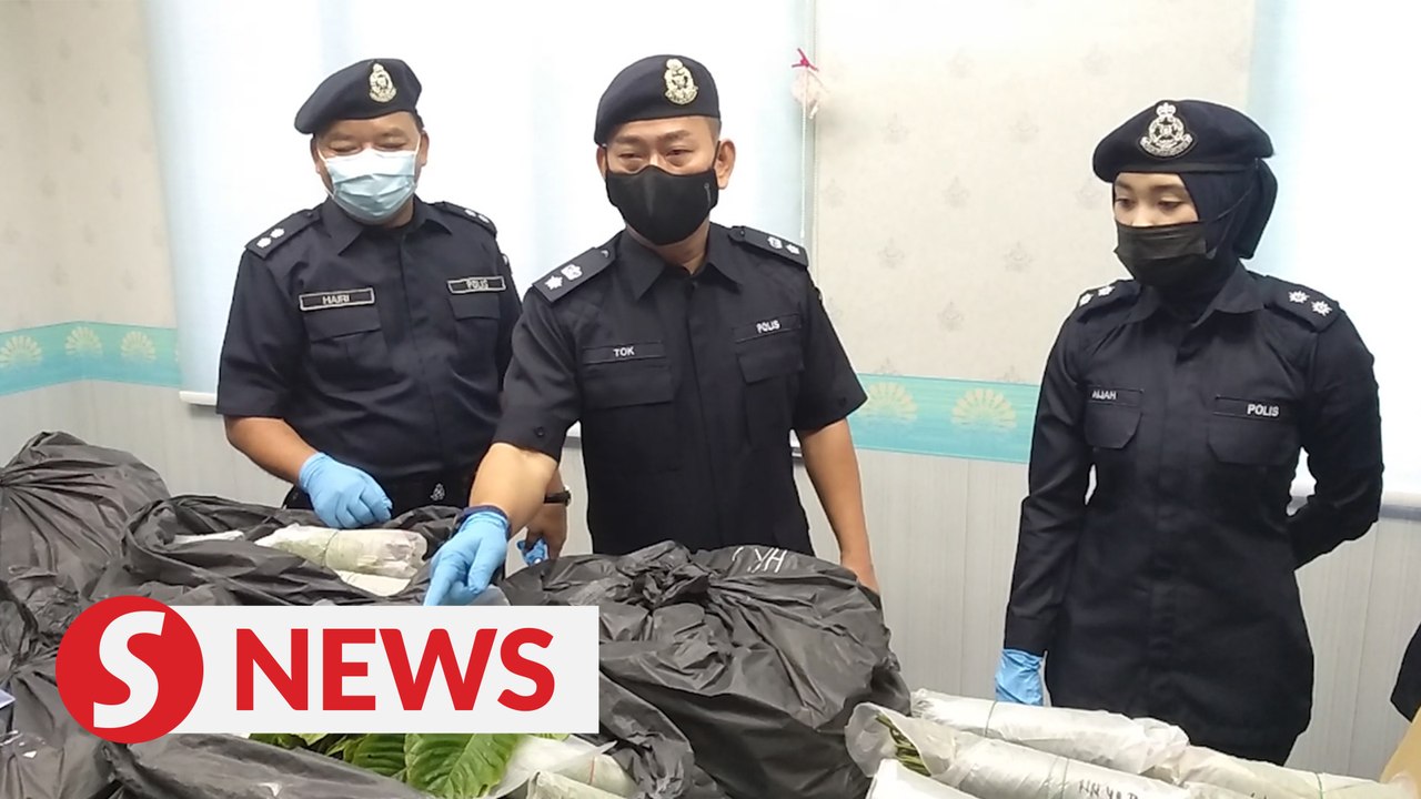 Duo nabbed for processing, selling ketum water in rented Johor house