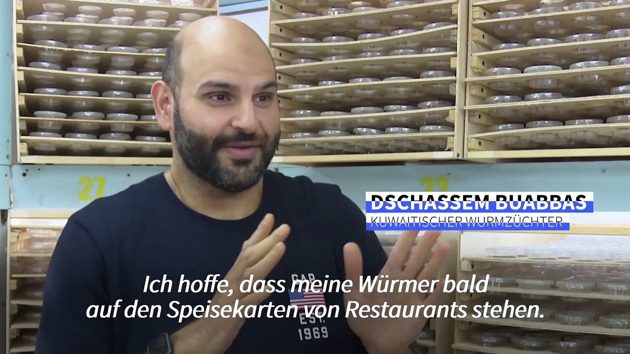 "Superwürmer" als Super Food