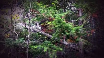 Alone S08E02 June 11 2021 Pt 02