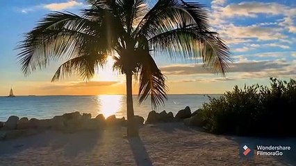 meditation music - sleep music - calming music - relaxing music - relaxing music for stress relief