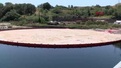 Tekirdağ'da deniz salyası temizliği