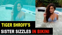 Tiger Shroff's sister flaunts toned body in bikini