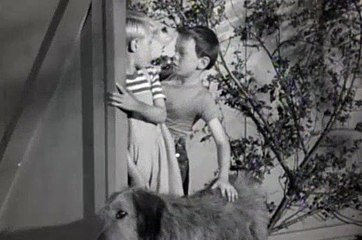 Dennis the Menace S01E20 Dennis and the Dog