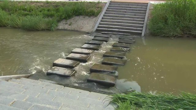 물놀이 초등생 2명 물에 빠져...1명 사망·1명 위독 / YTN