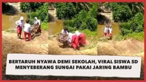 Bertaruh Nyawa Demi Sekolah, Viral Siswa SD Menyeberang Sungai Pakai Jaring Bambu