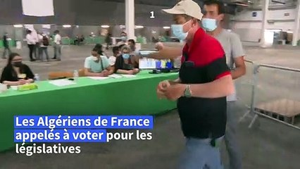 A Marseille, des Algériens votent pour les législatives