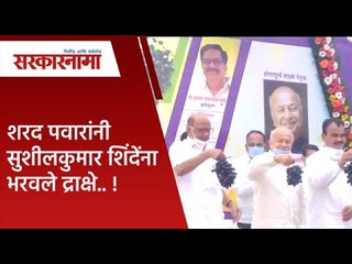 शरद पवारांनी सुशीलकुमार शिंदेंना भरवले द्राक्षे.. !