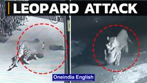 Caught on CCTV Camera | Leopard Hunts Pet Dog Sleeping Outside Home in Maharashtra | Oneindia News