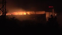 Kırlareli'de büyükbaş hayvan çiftliğinde yangın, çok sayıda itfaiye ekibi sevk edildi