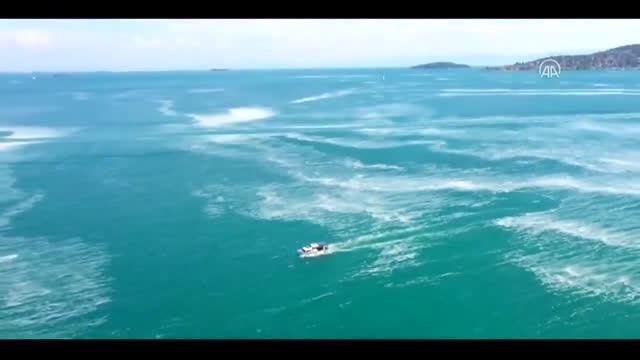 Bakan Kurum: Marmara Denizi'mizde bütün belediyelerimizle müsilaj temizliğine aralıksız devam ediyoruz