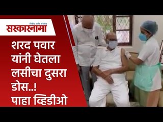 शरद पवार यांनी घेतला लसीचा दुसरा डोस..! पाहा व्हिडीओ | Politics | Maharashtra | Sarakarnama