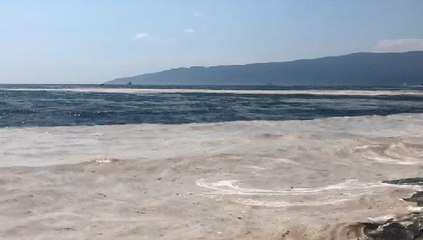 MÜSİLAJ YENİDEN GEMLİK KÖRFEZİ'NDE