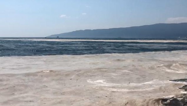 MÜSİLAJ YENİDEN GEMLİK KÖRFEZİ'NDE