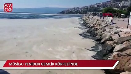 Müsilaj yeniden Gemlik Körfezi'nde