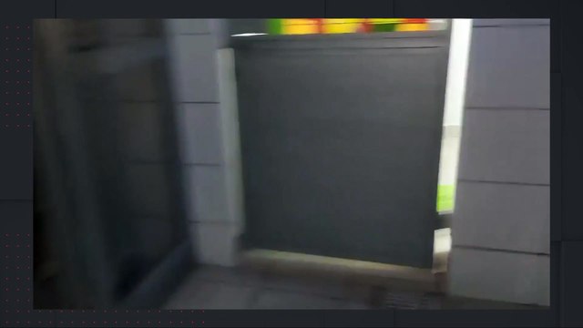 Alegría en el albergue municipal de mascotas, la población adoptó perros y gatos