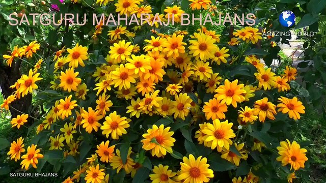 सतगुरु महाराजी भजन | Prem rawat bhajan | Satguru ji aap bade dayalu bhajan | Guru maharaji bhajan | | Satguru maharaji bhajans
