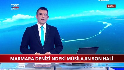 Marmara Denizi'nde Müsilajın Son Hali