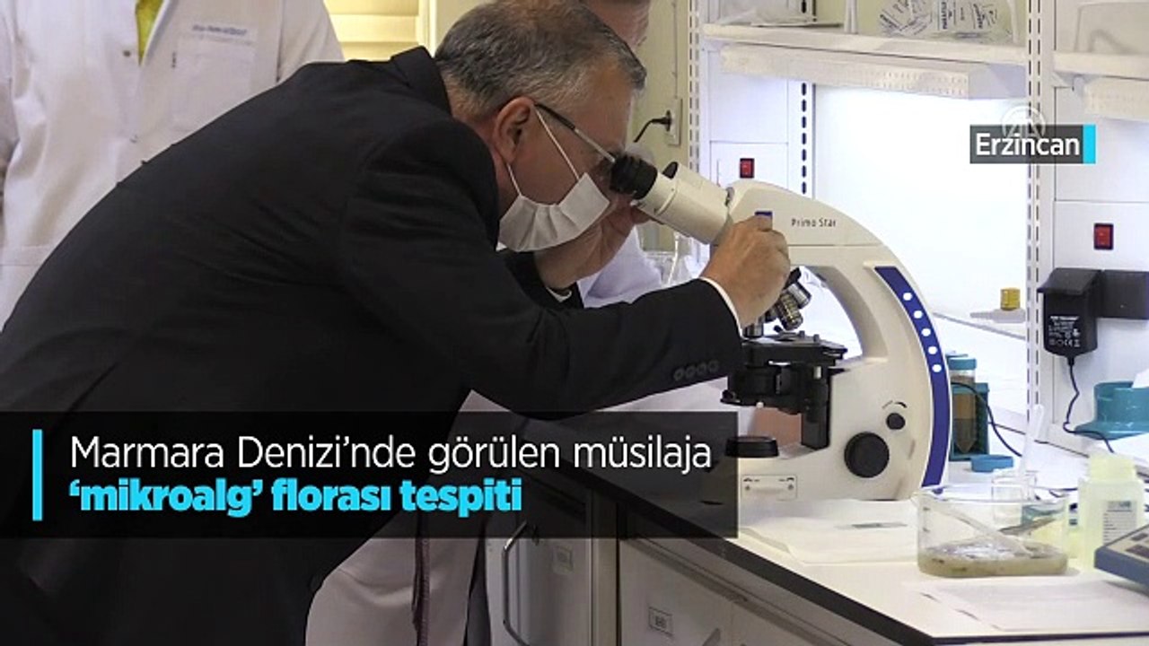 Müsilajın (deniz salyası) temel kaynağı olan mikroalglerin florasını tespit edildi