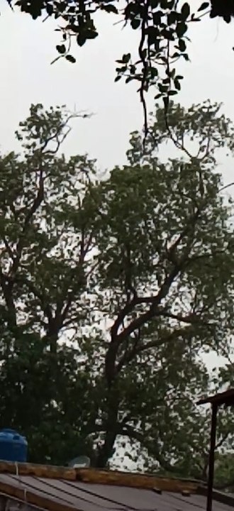 झमाझम बरसात