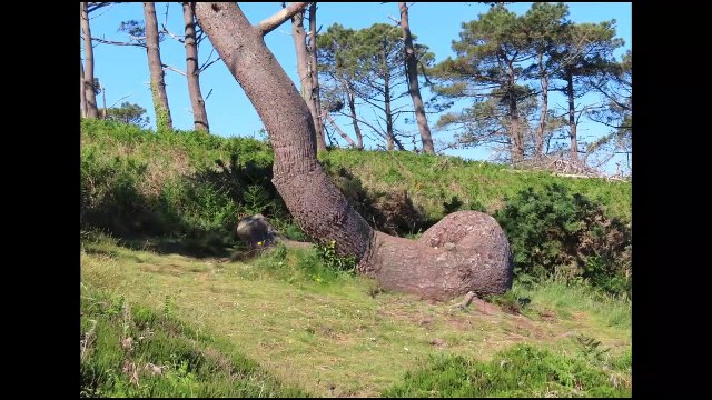 Rando Pointe de DINAN 10km-1juin202