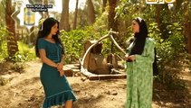 مسلسل الزوجه الثانيه الحلقه 24 كامله اون لاين - AFLAMK.ORG