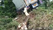 ปราจีนบุรี รถ 6 ล้อเสียหลักลงร่องกลางถนนชนต้นไม้หักรถพังยับ เจ็บติดภายใน