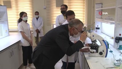 Deniz salyası yaralara merhem olacak