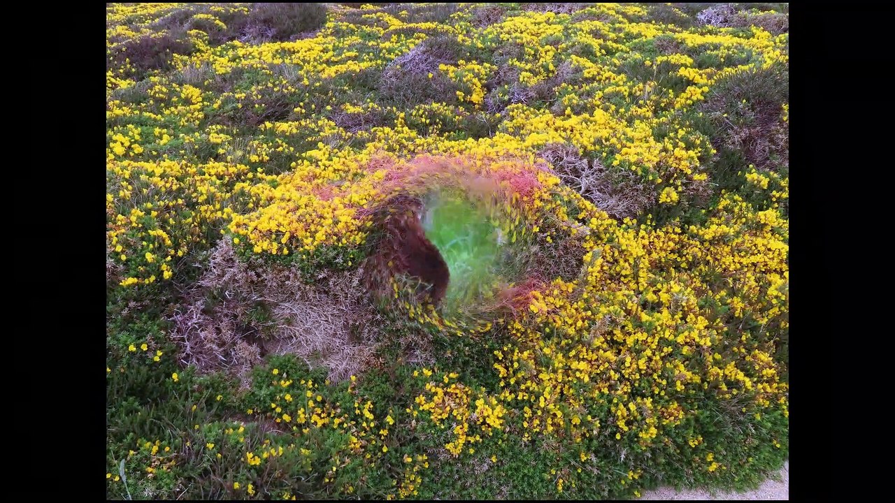 Ballade pointe du RAZ-12km-2 juin 2021