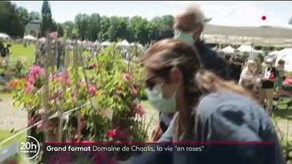 Oise : les passionnés de roses se retrouvent au domaine de Chaalis