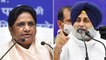 Akali Dal, Mayawati's party form alliance ahead of Punjab Assembly polls