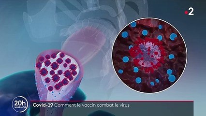 Peut-on être vacciné contre le Covid-19 et contracter le virus ?