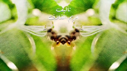 مسلسل نبض مؤقت الحلقة 23 الثالثة والعشرون