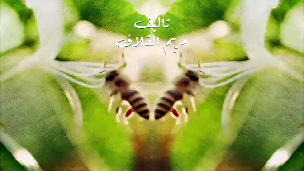 مسلسل نبض مؤقت الحلقة 16 السادسة عش