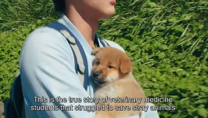 Inubu Movie: Heartwarming Dog Tale 🐶