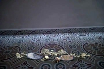 mira esos efectos especiales vfx esqueletos