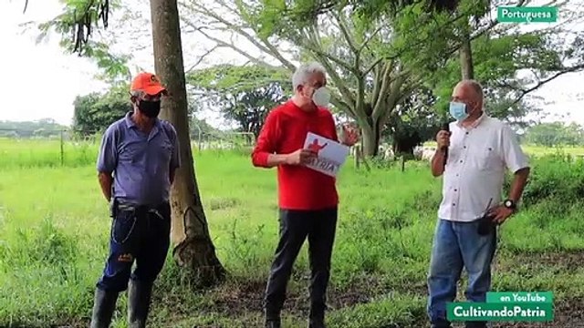 Cultivando Patria 13JUN2021 | Venezuela cuenta con un rebaño de más de 16 millones de ganado bovino