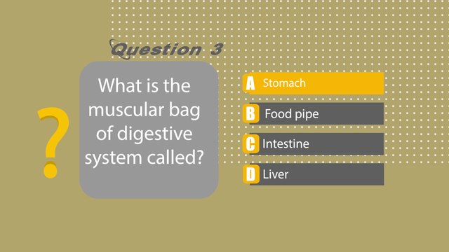 Tasting To Digesting, MCQ test from class-5 science, Tasting To Digesting MCQ test
