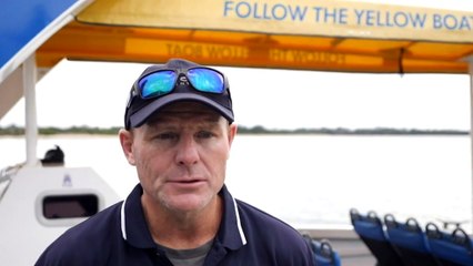 Domestic tourists to help keep small businesses afloat