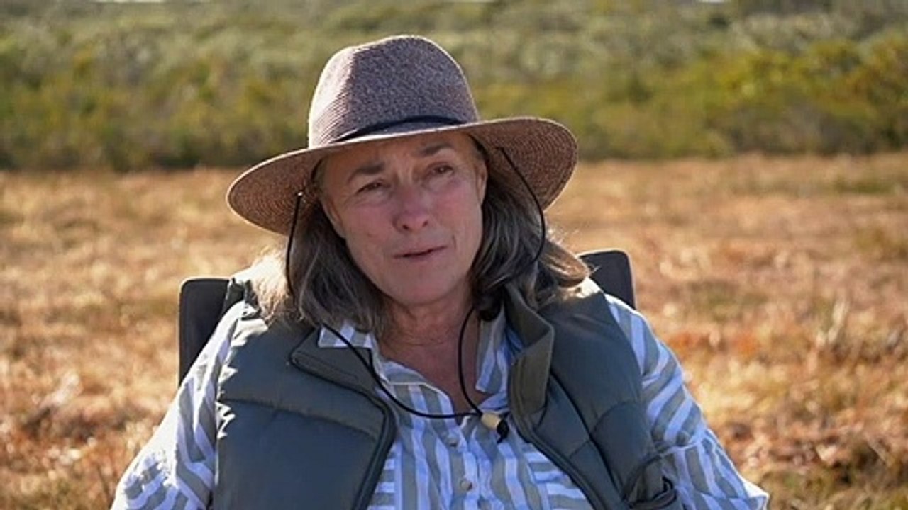 Conservationists fight to save the western ground parrot