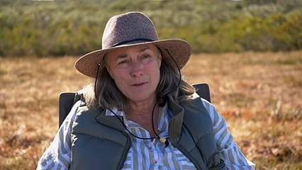 Conservationists fight to save the western ground parrot