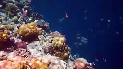 5 Volcanoes That Could Erupt Soon