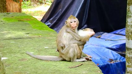 Small Baby Try To Take Her Sister Out From Mum Anna And Father Aron
