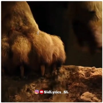 Boys Attitude Status _ Attitude Status_ Hollywood Whatsapp Status _ Sidlyrics SL